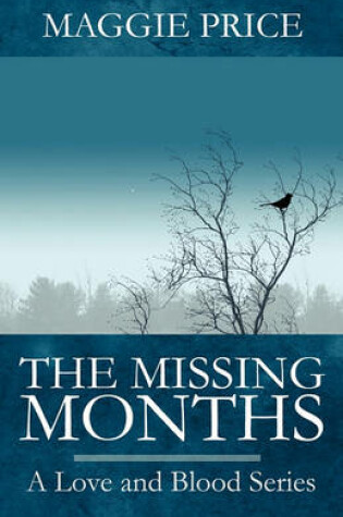 Cover of The Missing Months