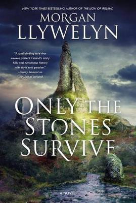 Book cover for Only the Stones Survive