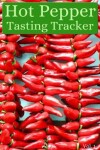 Book cover for Hot Pepper Tasting Tracker Vol. 1