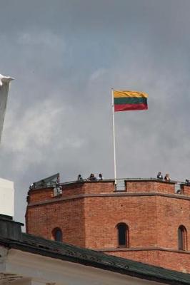 Book cover for The Flag of Lithuania in Vilnius Journal