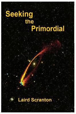 Book cover for Seeking the Primordial