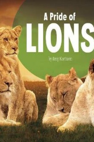 Cover of A Pride of Lions (Animal Groups)