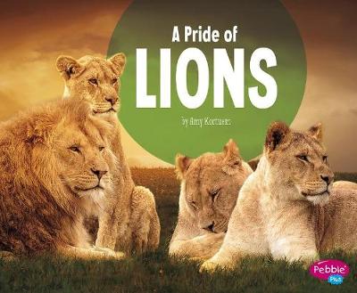 Book cover for A Pride of Lions (Animal Groups)