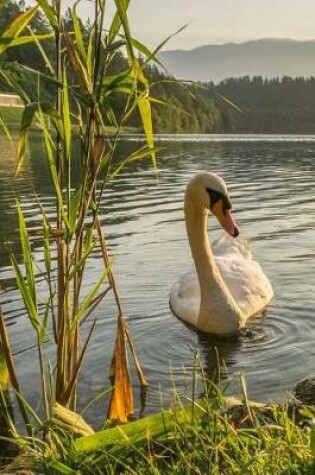 Cover of A Graceful Swan on a Morning Swim at the Lake Journal