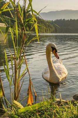 Book cover for A Graceful Swan on a Morning Swim at the Lake Journal