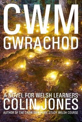 Book cover for Cwm Gwrachod