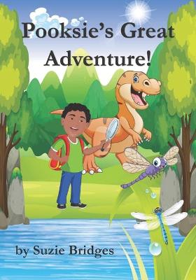 Book cover for Pooksie's Great Adventure!