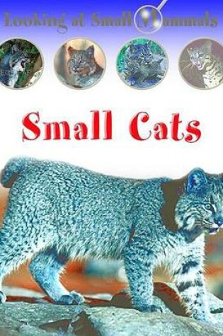 Cover of Small Cats