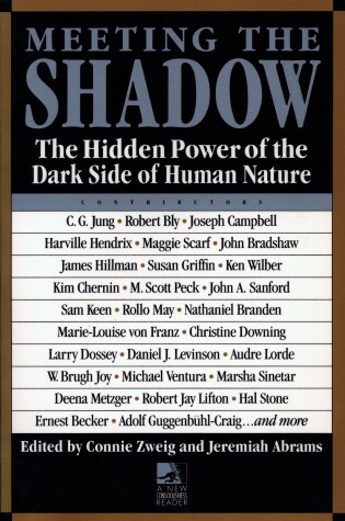 Cover of Meeting the Shadow