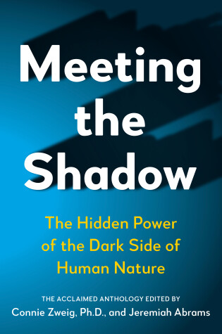 Book cover for Meeting the Shadow