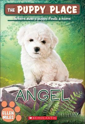 Book cover for Angel