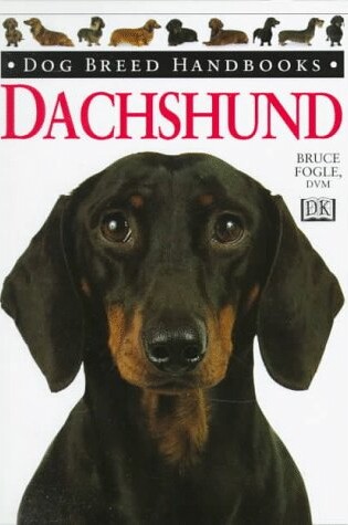 Cover of Dachshund