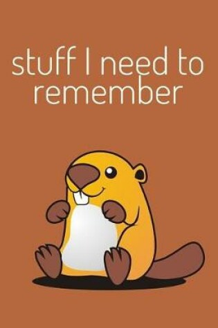 Cover of Stuff I need to remember