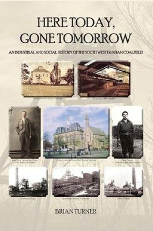 Cover of Here Today, Gone Tomorrow