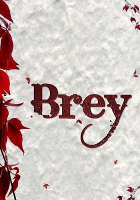 Book cover for Brey