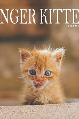 Cover of Ginger Kittens