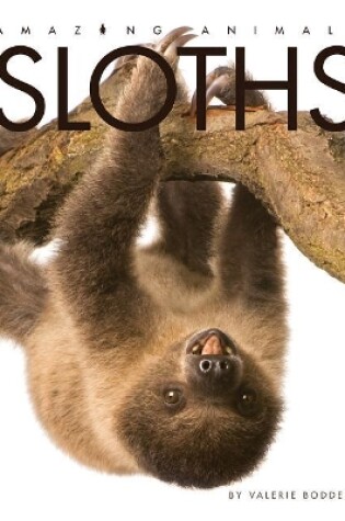 Cover of Sloths