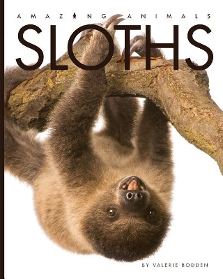 Book cover for Sloths