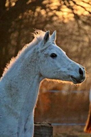 Cover of Cool White Horse in the Evening Journal