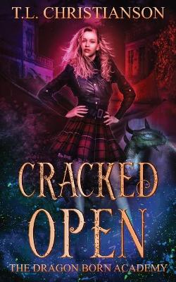 Book cover for Cracked Open
