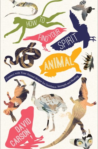 Cover of How to Find Your Spirit Animal