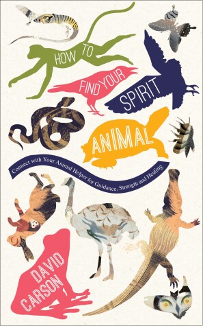 Book cover for How to Find Your Spirit Animal