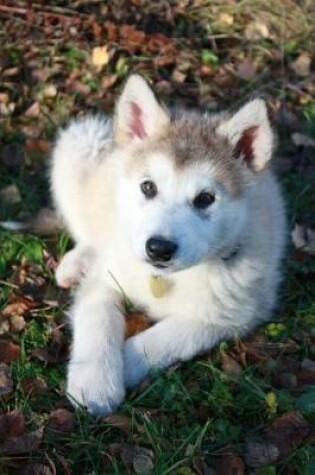 Cover of Alaskan Malamute Puppy Dog Journal