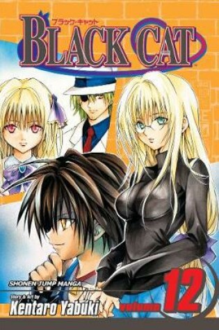 Cover of Black Cat, Vol. 12