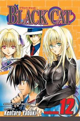 Book cover for Black Cat, Vol. 12