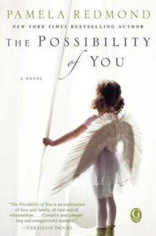 Cover of The Possibility of You