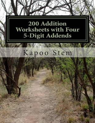 Book cover for 200 Addition Worksheets with Four 5-Digit Addends