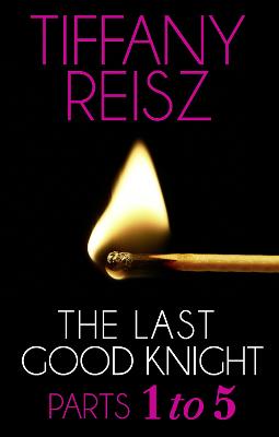 Book cover for The Last Good Knight