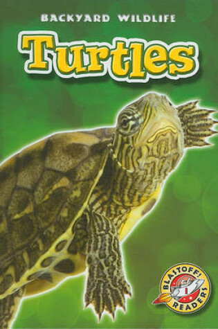 Cover of Turtles