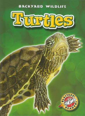 Book cover for Turtles