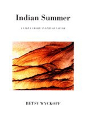 Book cover for INDIAN SUMMER