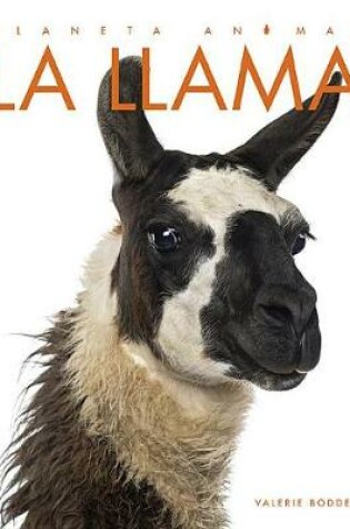 Cover of La Llama