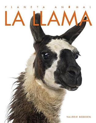 Book cover for La Llama