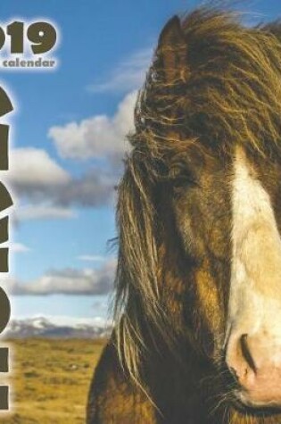 Cover of Horses 2019 Mini Wall Calendar