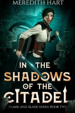 Cover of In The Shadows of The Citadel