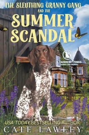Cover of The Sleuthing Granny Gang and the Summer Scandal