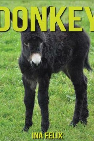 Cover of Donkey