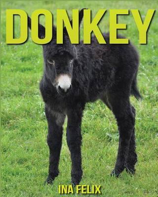 Book cover for Donkey