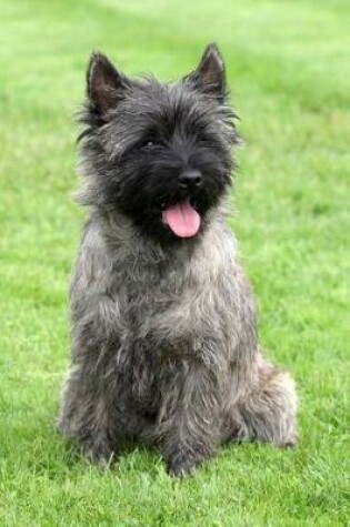 Cover of The Cairn Terrier Dog Journal