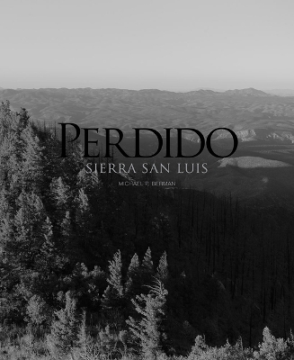 Book cover for Perdido