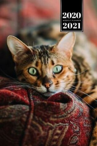 Cover of Bengal Cat Kitten Kitty Tomcat Week Planner Organizer 2020 / 2021 - Relax