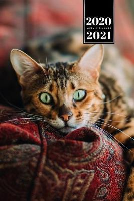 Book cover for Bengal Cat Kitten Kitty Tomcat Week Planner Organizer 2020 / 2021 - Relax