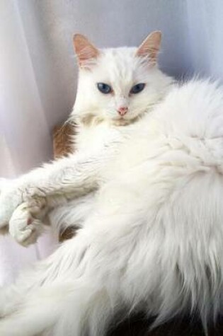 Cover of Turkish Angora Cat "I Would Like Exactly Two Belly Rubs."