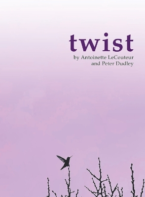 Book cover for twist