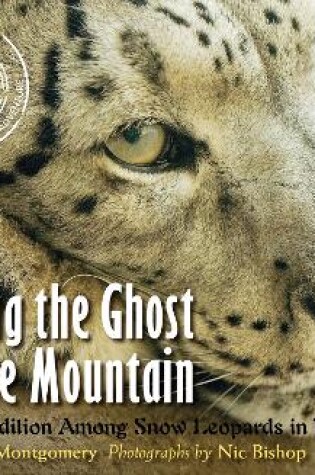 Cover of Saving the Ghost of the Mountain