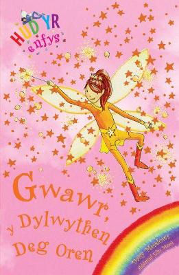 Book cover for Cyfres Hud yr Enfys: Gwawr y Dylwythen Deg Oren
